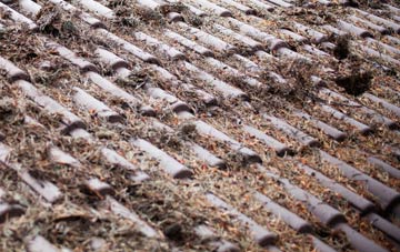 Radway roof cleaning companies